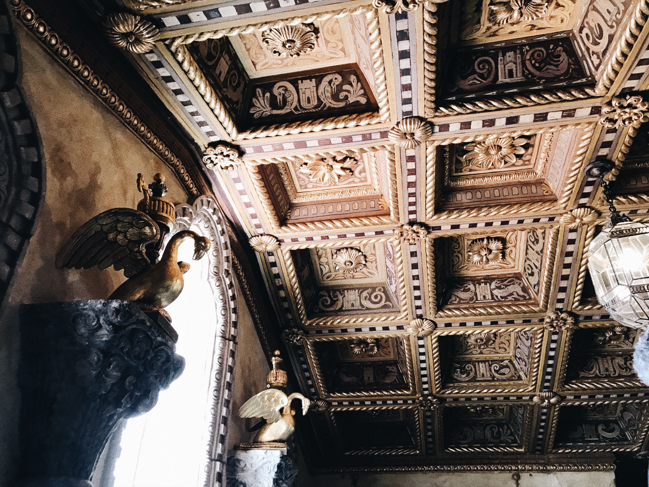 Processed with VSCO with a6 preset