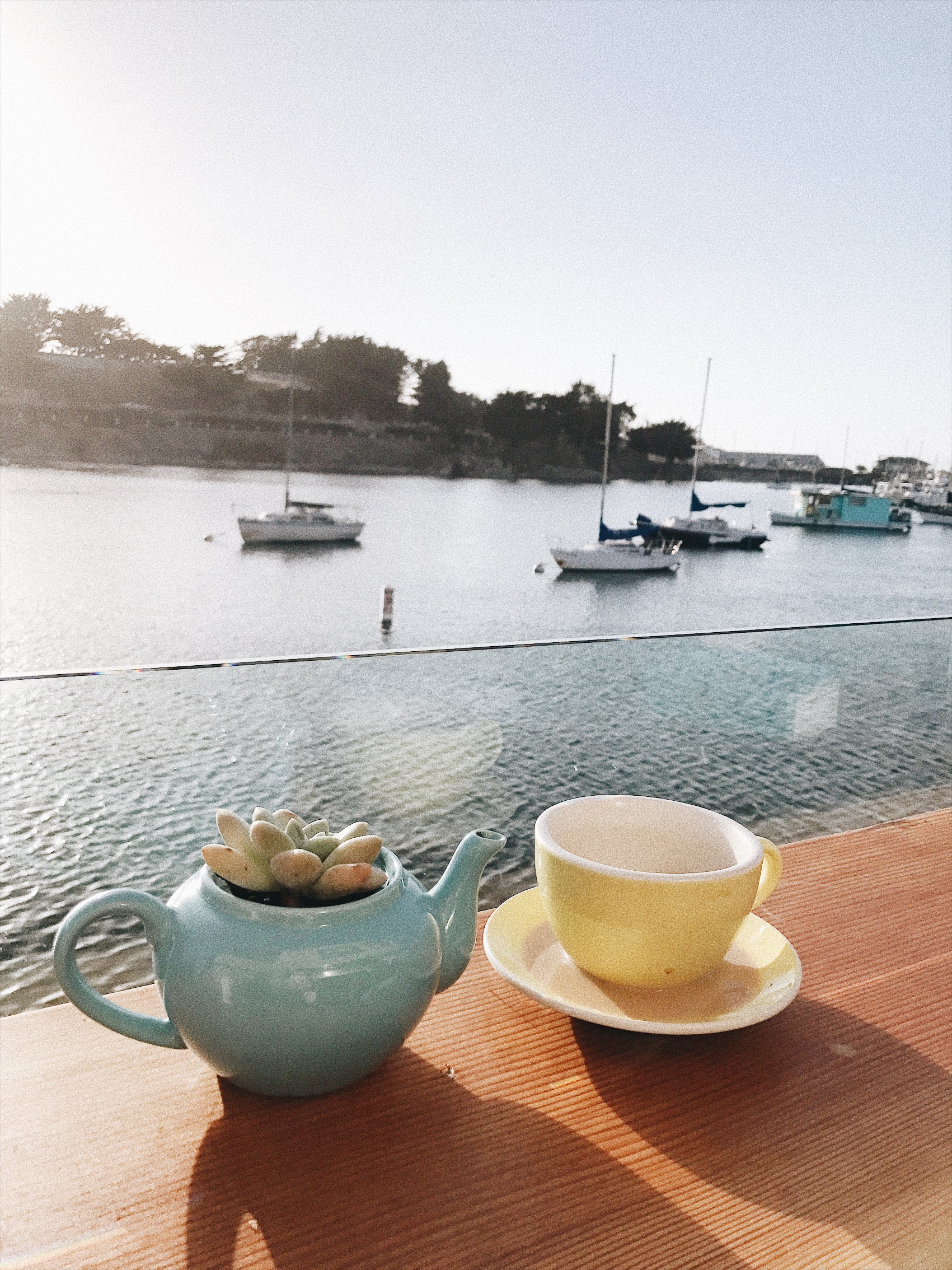 Monterey, California, coffee shop, Water and Leaves, Fisherman's Wharf